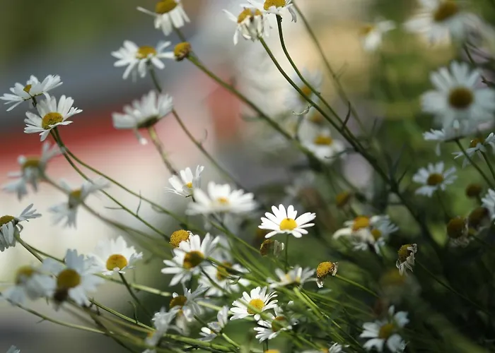 Apartamento Ylatupa Kesälahti